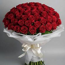 Букет 101 Красная роза Блэк Мэджик в Советском Руно