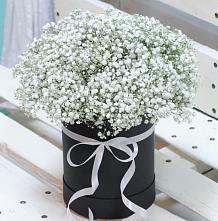 Цветочная композиция из Гипсофила в шляпной коробке #REPLACE_PRED# Советском Руно