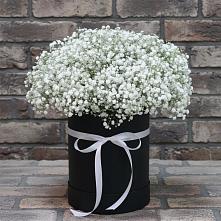 Цветочная композиция из Гипсофила в шляпной коробке в Советском Руно