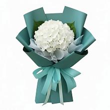 Букет цветов из:  Гортензия в Советском Руно
